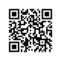 410091060 