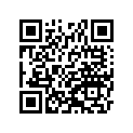 410091063 