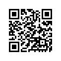 410091237 