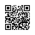 410091284 