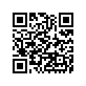 410091336 