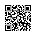 410091337 