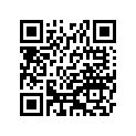 41022-0084 チユーブ(タイヤ),100/90-19(IRC)