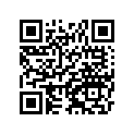 41023-S002 BAND-RIM