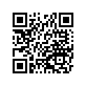 410230030 BAND-RIM,FR,22-21(IRC)
