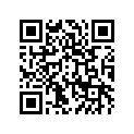 410231013 