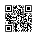 41025-0022 リム，FR，2.15X19