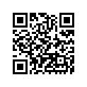 41025-0094-WF RIM, リム,FR,1.60X2