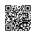 41025-0318-WC リム，FR，1.60X21，ブラツク