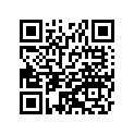 41025-0353-WA RIM,FR,1.40X17,SILVER