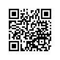 41025-0355-WA RIM,FR,1.40X19,SILVER