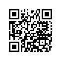 41025-0359-WA RIM,FR,21X1.60,SILVER
