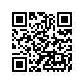 41025-1103 Rim,fr,1.40x16