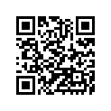 41025-1167 リム，FR，1.60X21