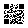 41025-1254 リム，FR，1.60X21