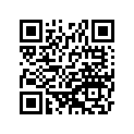 41025-1259 リム，FR，1.60X21