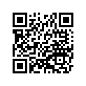 41025-1262 リム，FR，1.60X21
