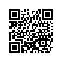 41025-1303 リム，FR，1.85X21