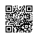 41025-1324 リム，fr，1.60x21