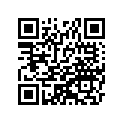 41025-1359-WD リム，RR，3.50X17，ブル-