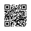 41025-S011 RIM,1.60X21