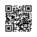 41025-S019 Rim