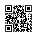 410250391 