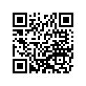 410251173 