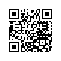 410251195 