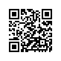 410251246 