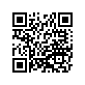 410251299 