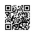 410251308 