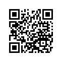 410251315 