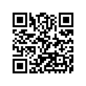 4102513355A Rim, Fr, 10x6.0, Silv#40