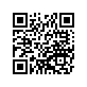 410251351 