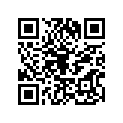 410251371 