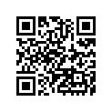410251381WA 