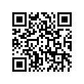 410275016 