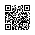 410275017 