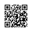 410275019 