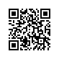 410275021 