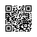410275022 