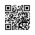 410275028 