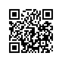 410275029 