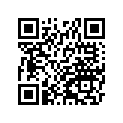 410275031 