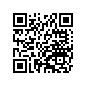 410285001 