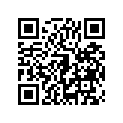 410285017 
