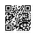 410285026 