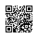 41029-0062 スポ-ク(インナ)，FR，RH，213MMX161D