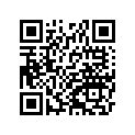 41029-1077 Spoke-inner